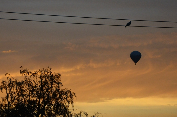 Ballonfahrt im Sonnenaufgang